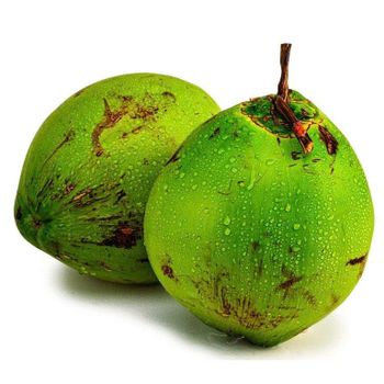 Premium Fresh Coconut from YANNI TROPICAL COCONUTS Premium Fresh Coconut - YANNI TROPICAL COCONUTS - Brazil